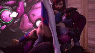 Assignement D.Va