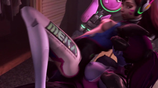 Assignement D.Va