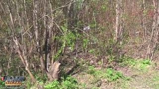 домашнее порно
секс дома
посмотреть домашнее порно
домашняя порнуха
порно hd русское домашнее
домашний секс бесплатно
русская домашняя ебля
домашнее эро
домашнее порно онлайн
домашняя ебля
смотреть домашнее порно видео
секс порно домашка
рус дом порно
эро видео домашнее русское
порнуха домашка
порно хоум видео
порно домашка
секс дома бесплатно
откровенное домашнее видео
ххх русское домашнее любительское
любительский секс
хоме порно
любительское видео эротика
домашнее порно бесплатно
дамашни секис
русское домашнее порно видео
домашнее порно видео
любительское порно видео
порно новинки домашка
porno домашнее
домашка xxx
домашнее порно hd
домашнее секс видео бесплатно
домашнее поно
porno doma
ххх хоум
порно снятое дома
порно русс домашнее
домашняя порнография
простой домашний секс
sex dom
реальный домашний секс видео
русское частное видео
секс домашка
домашний секс
домашнее интимное видео
порево дома
обычный домашний секс
домашнее любительское порно видео
русское порно личное
domashniy seks
домашний секс онлайн
смотреть домашний секс
эротика домашнее видео
русское домашнее частное
домашнее пор
seks doma
домашнее видео для взрослых
порно ру домашнее
домашний секс смотреть бесплатно
домашний секс фильм
любительское порно бесплатно
красивое частное порно
смотреть порно домашка
домашнее интимное видео бесплатно
домашняя эротика бесплатно
секс видео домашка
домашний любительский секс
русский домашний секс
домашние эротические видео
xxx домашнее
русское домашнее порно онлайн
эро домашка
порно фильмы домашнее
порно в домашних условиях
интим дома
домашний секс бесплатный
домашнее п
секс дома видео
частное любительское порно
порнушка домашка
эротика русская домашка
домашнее порно видео бесплатно
порно русское домашнее любительское
реальная домашка порно
голые дома видео
личное ххх видео
частное домашнее порно видео
home video xxx
домашнее порно ххх
реальное домашнее порно
ххх частное
damashni seks
порно секс дома
домашнее интим видео
частное домашнее любительское
русское домашнее хоум видео
бесплатное домашнее порно видео
секс дома частное
домашнее порно в хорошем качестве
секс хоум видео
секс с красоткой дома
домашнее порево
бытовое порно
классное домашнее порно
смотреть домашнее любительское порно
рус дом секс
свой секс
русское домашнее видео 18
частная ебля
приватный секс
ххх русское домашнее
приватное семейное видео
порно домашка частное
частное русское хоум видео
секс видео русское домашнее
русское любительское секс видео
частное семейное порно
русское приватное порно
секс кино домашний
реальный русский домашний секс
хоум видео
порно ролики домашка
домашнее видео xxx
domashniy sex
домашний порно туб
домаха порно
русское домашнее частное порно
хоум видео ххх
ххх домашнее
русское домашнее порно новинки
настоящее домашнее порно
порно руски домашни
частное порно hd
damashni sekis
частное домашнее любительское порно видео
порно реальное домашнее частное
порно дома реальное
ххх дома
частный домашний секс
русский секс домашка
домашние порно ролики
частное порно бесплатно
домашнее парно
смотреть секс дома
смотреть дом порно
русское домашнее видео
domashnee porno
порно в квартире
домашние потрахушки
частное эро видео
красивый секс дома
секс дамашни
ебут домашнее
porno dom
порево домашка
домашнее 18
сняли домашнее порно
смотреть порно бесплатное русское домашнее
хоум видео россия
фильмы для взрослых домашнее
секс домашни руски
частное интим видео
русское хоум видео
частное xxx
русское домашнее любительское видео
русское частное порно
свое порно
настоящий домашний секс
