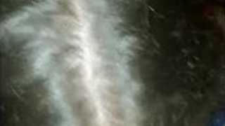Deepthroat Cum Blowjob GIF